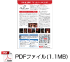 PDFファイル(1.1MB)